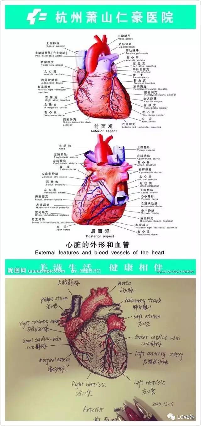 澳门人威尼斯3966